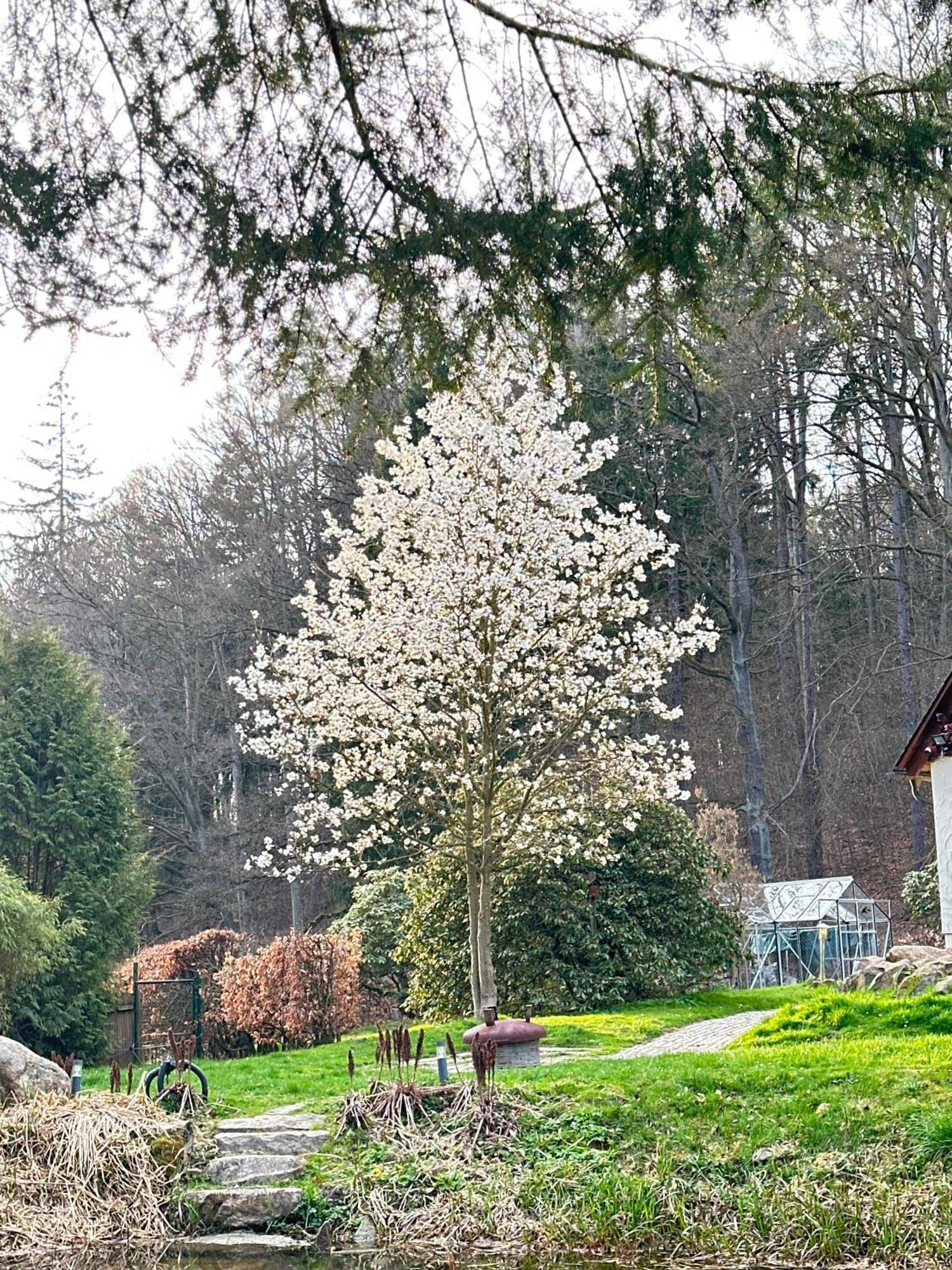 Ferienhaus Jaegerhaus Oppach Privathaus Zewnętrze zdjęcie